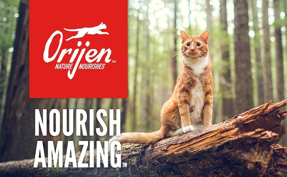 ORIJEN photo 1